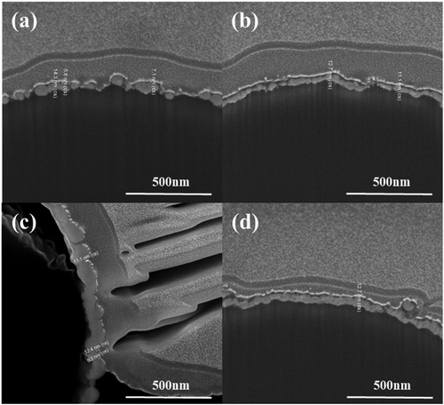 Figure 8. Cross-sectional scanning electron microscope (SEM) image of coating thickness according to corrosive coating time: (a) 30 s, (b) 60 s, (c) 120 s, and (d) 180 s.
