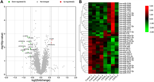 Figure 2 Analysis of DE miRNAs. (A) The volcano plot depicted the DE miRNAs, upregulated miRNAs and downregulated miRNAs are shown as red dots and green dots, respectively. (B) Heat maps of DE miRNAs meeting |fold change|≥1.5.