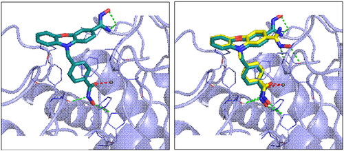 Figure 2. Interactions analysis of compounds 7b and 7d in HDAC6 binding site. (A) Docking pose of compounds 7d (blue-green) in HDAC6 (light blue). (B) Superimposed docking poses of compounds 7b (yellow) and 7d in HDAC6. The zinc ions are denoted as grey sphere. Chelating bonds are represented by red dash lines, while green dash lines indicate hydrogen bonds. Figures are created using PyMOL.