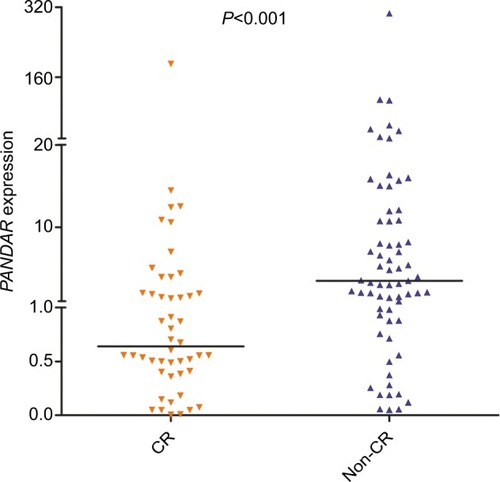 Figure 3 Expression of PANDAR in CR and non-CR AML patients receiving induction therapy.Notes: The distributions of the PANDAR expression in CR and non-CR groups are illustrated with scatter plots. The median level of PANDAR expression in each group is shown with horizontal line.Abbreviations: AML, acute myeloid leukemia; CR, complete remission.