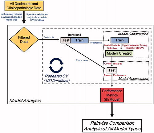 Figure 1. Overview of the model construction and analysis workflow.