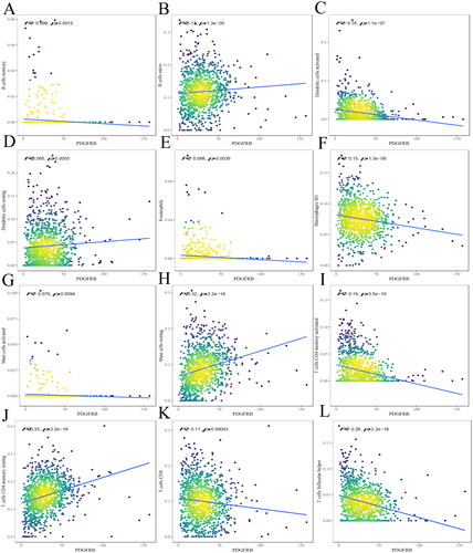 Figure 4. The relationship between PDGFRB and immune infiltrates. The correlation between PDGFRB expression and B cell memory (A), B cells naive (B), DCs activated (C), DCs resting (D), eosinophils (E), macrophages M1 (F), mast cells activated (G), mast cells resting (H), T cells CD4 memory activated (I), T cells CD4 memory resting (J), T cells CD8 (K), T cells follicular helper (L) infiltration. R < 0, negative correlation, R = 0, no correlation, R > 0, positive correlation.