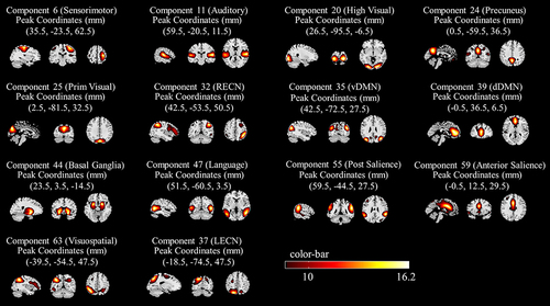 Figure 1 Spatial distribution of brain networks corresponding to the 14 independent components in Group ICA.