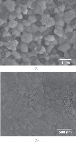 Figure 1. Typical SEM micrographs of sintered (a) Ce-TZP/Al2O3 and (b) Y-TZP specimens.