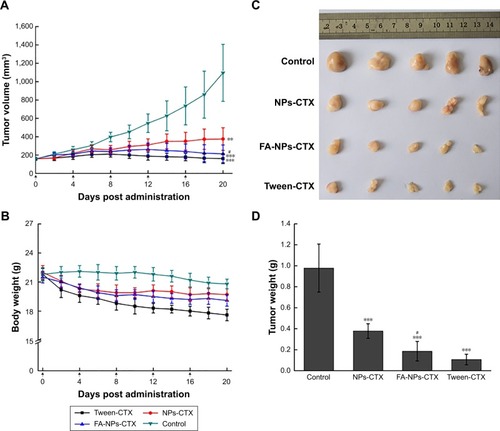 Figure 8 In vivo antitumor evaluation of different formulations against HeLa xenografts in nude mice after the intravenous injection of NS (control), Tween-CTX, NPs-CTX, and FA-NPs-CTX.Notes: (A) Change of tumor volume. (B) Change of body weight. (C) Image of tumors obtained from nude mice at Day 20. (D) Tumor weight at Day 20 after excision from mice. Data are presented as the mean ± SD (n=5). **P<0.01, ***P<0.001 vs control; #P<0.05 vs NPs-CTX.Abbreviations: CTX, cabazitaxel; FA, folic acid; FA-NPs-CTX, FR-targeted nanoparticles loaded with cabazitaxel; FR, folate receptor; NS, normal saline; NPs-CTX, cabazitaxel-loaded nanoparticles; Tween-CTX, CTX dissolved in a mixture of Tween 80 and 13% ethanol (w/w) at a ratio of 1:4 (v/v).