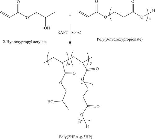Figure 7. Scheme 7: Reaction scheme of the synthesis of poly(2HPA-g-3HP) graft copolymer.