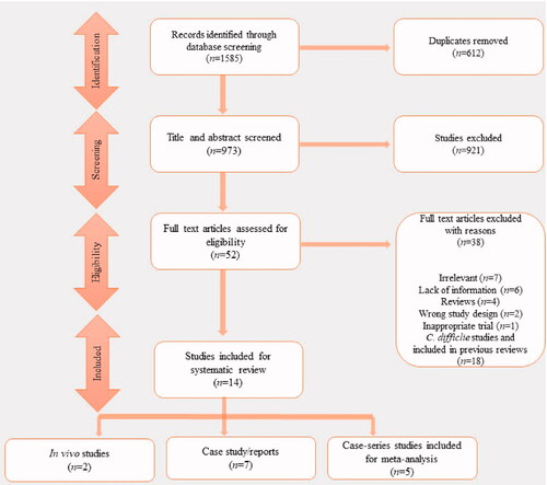 Figure 2. Flowchart showing the systematic review process with the bibliometric assessment, including article attrition and study selection. Briefly, articles were filtered through an automated bibliographic database search using keywords.