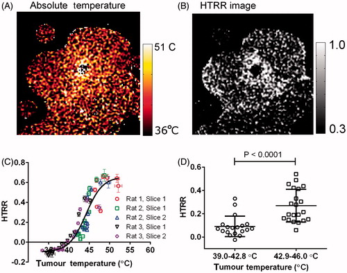 Figure 7. A spatial correlation between HTRR and absolute tumour temperature. (A) An image of absolute temperature in the rat tumour 15 min after the initiation of heating. (B) An image of HTRR 15 min after the initiation of heating. (C) A plot of the HTRR as a function of absolute temperature. Each data point corresponds to the absolute temperature (abscissa) and HTRR measurement (ordinate) in a single annular ROI (see Figure 5C) 15 min after the initiation of heating. (D) In this graph only tumour regions that fell in the 39.4–45.9 °C temperature range 15 min after initiation of heating were considered, because this range surrounds the liposome bilayer Tm. The HTRR values for annular ROIs were split into a 39.4–42.8 °C group (below Tm) and a 42.9–45.9 °C group (above Tm), and each group was plotted in a separate column. The P-value was obtained with a one-tailed t-test without assuming equal variances between groups (Mann-Whitney test).