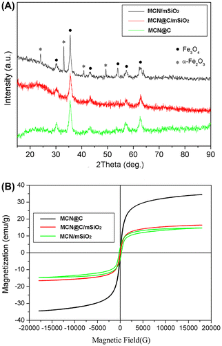 Figure 1. The wide-angle XRD patterns (A) and magnetization curves measured at room temperature (B) of the MCN@C, MCN@C/mSiO2 and MCN/mSiO2 nanoparticles.