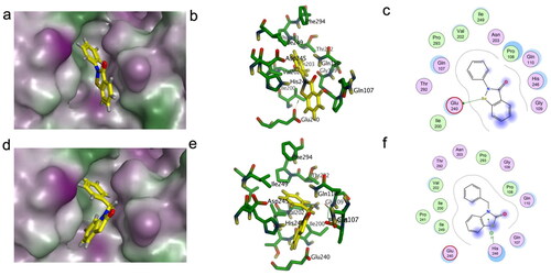Figure 8. Docking results of ebselen and compound 7 in the region between domains II and III of Mpro. The best pose of ebselen (a) and compound 7 (d) in that site. 3D visualisation of the key residues involved in the interaction between Mpro and ebselen (b) or compound 7 (e). 2D interaction maps for the best poses of ebselen (c) and compound 7(f) on Mpro.