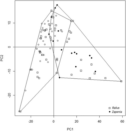 Figure 4. Two-dimensional ordination of nest features of Water Rails (Rallus) and Little Crakes (Zapornia).