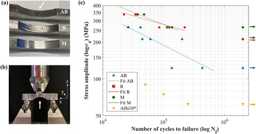 Figure 6. (a) Top surface pictures (XY view) of 3PBF coupons with different surface conditions; AB (as-built), R (re-melted via optimised in-process dL-PBF), and M (milled), from top to bottom, respectively, (b) The 3PBF test set-up, red arrow displaying the applied force and white arrow is indicating the minimum cross sectional area with as-built (AB) or treated surface conditions, (c) 3PBF S-N fatigue test results displaying stress amplitude vs number of cycles for AB, R, and M conditions from this study, and as a reference, AB AlSi10Mg (Series A, Ra = 8.04 ± 4.4 µm) from work of Beretta et al. [Citation47]. The run-out (2 × 106 cycles) stress levels are indicated with the arrows.