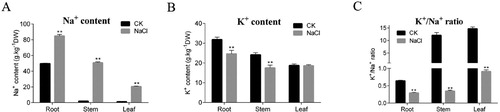 Figure 2. Variation in ion contents in seedling tissues. (A) Na+ content, (B) K+ content, (C) K+/Na+ ratio. Data are presented as the mean ± SE (n=3). *, **: means differ significant from levels in the control treatment (P<0.05 and<0.01, respectively)