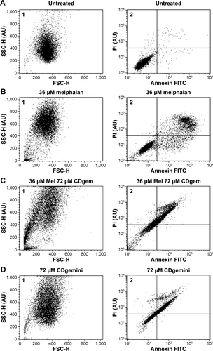 Figure S1 Flow cytometry plots.Notes: (A) Untreated cells (1) forward vs side-scattering and (2) early apoptotic marker Annexin V vs late apoptotic/necrotic marker propidium iodide. (B) Cells treated with melphalan in acidified ethanol (1) forward vs side-scattering and (2) early apoptotic marker Annexin V vs late apoptotic/necrotic marker propidium iodide. (C) Cells treated with melphalan/CDgemini nanoparticles (1) forward vs side-scattering and (2) early apoptotic marker Annexin V vs late apoptotic/necrotic marker propidium iodide. (D) Cells treated with the CDgemini surfactant delivery agent alone (1) forward vs side-scattering and (2) early apoptotic marker Annexin V vs late apoptotic/necrotic marker propidium iodide. While the MTT assay and forward/side scattering plot (D1) of the cells treated with the CDgemini surfactant delivery system alone indicates no cellular death, similarly to untreated cells (A1), the plot for the apoptotic marker of the delivery agent (D2) shows a significant shift of the whole healthy population. This shift makes interpreting the cell death attributed to the Mel-CDgemini nanoparticles (C2) impossible.Abbreviations: Au, arbitrary unit; Mel-NP, Melphalan/CDgemini nanoparticles.