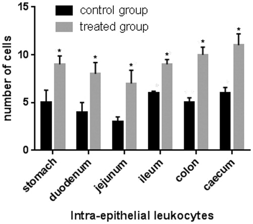 Figure 3. Effect of olive mill wastewater supplemented to a finishing diet on the count of intra-epithelial leukocytes (IEL) in the stomach, duodenum, jejunum, ileum, caecum, and colon. Bars represented as mean ± SEM. *Annotate differences between control and experimental group at p < .05.
