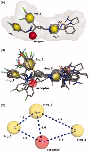 Figure 1. (A) Molecular alignment of the three most active compounds. Rings 1, 2, 3 and the carbonyl oxygen (acceptor) were used as superimposition sites as well as its 3D shapes. (B) Molecular alignment of all 40 studied compounds. (C) Chemical feature sites were employed as the template for the molecular alignment (distances are shown in Å).