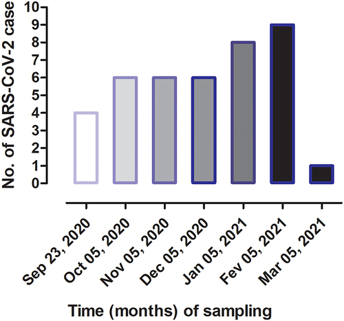 Figure 2 Time-dependent SARS-CoV-2 seropositive antibodies in measles patients, data are presented as number of cases for each sampling month.