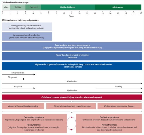 Figure 1. Childhood trauma and its effects on biobehavioural systems implicated in pain and psychiatric disorders During development, distinct neurological systems mature at different rates, accompanied by changes in neurobiological mechanisms at the molecular or cellular level. Throughout the neurodevelopmental trajectory, and as a result of ongoing CNS maturation processes, children are arguably more vulnerable to the unfortunate and negative impact of childhood trauma, maltreatment in particular. In the developing CNS, maltreatment is hypothesised to interfere especially with systems that regulate threat detection, fear processing, reward and anti-reward mechanisms, and other fundamental neurological properties (e.g. white matter integrity). Over time, the impediment of normal neurodevelopmental process stemming from childhood trauma might commonly facilitate abnormal pain and somatosensory processing, psychiatric symptoms and illnesses, and complex comorbid states. (Adapted from Cay et al., Citation2022; Govindan et al., Citation2010 with kind permission of the authors).