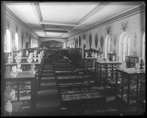 Figure 1. Archaeology and ethnology exhibits in the Upper Main Hall of the Smithsonian Institution building, now known as the ‘Castle’. Photograph likely taken between 1877 and the early 1880s as the anthropology exhibits were moved to the National Museum building in 1881. Classical busts are displayed on exhibit cases, and a series of head casts of the Fort Marion captives (made in 1877) displayed on top of the cases at the back of the Hall. Smithsonian Institution Archives, Acc. 11-006, Box 006, Image No. MAH-2962