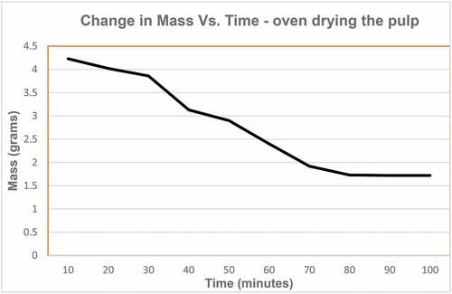 Figure 11. Change in mass vs. time - oven drying the pulp.