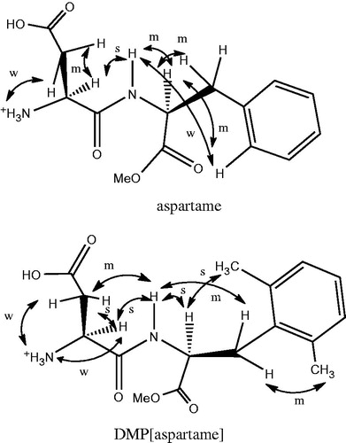 Figure 1. Relevant interproton correlations as deduced by ROESY experiments of aspartame and [DMP2]aspartame.