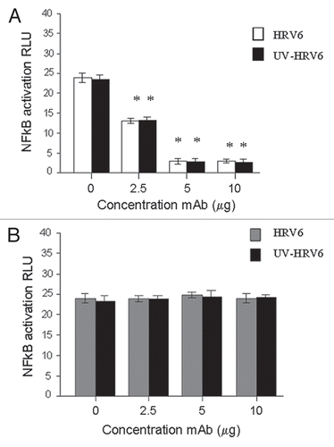 Figure 5 HRV6 recognition by TLR2. HEK293 cells transfected with TLR2 and a luciferase reporter gene were pre-incubated with TLR2-specific mAb (TLR2.1) prior to incubation with HRV6 (white bar charts) and UV HRV6 (black bar charts) (A). The cells were also incubated with an isotype control IgG2a from BD Biosciences (B). To determine NFκB activation the cells were lysed and analyzed for luciferase activity. The data shown represent a mean of three independent experiments. Asterisks denote statistical significance (p < 0.001).