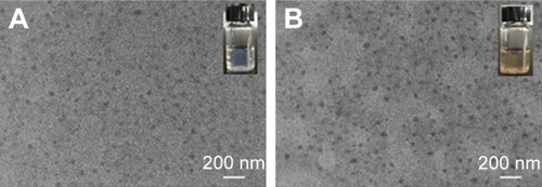 Figure 2 TEM images of mPEG-PLGA1 NPs (A) and IDA/mPEG-PLGA NPs (B).Abbreviations: IDA, idarubicin; mPEG-PLGA, methoxy poly(ethylene glycol)-b-poly(l-lactide-co-glycolide); NPs, nanoparticles; TEM, transmission electron microscopy.