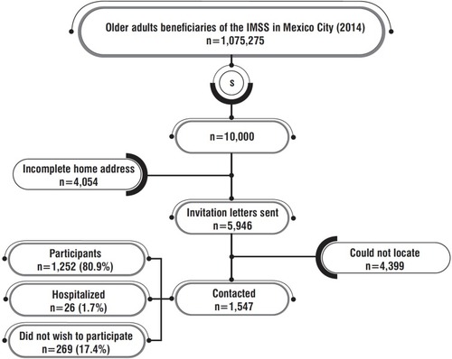 Figure 1 Sample selection process of older adults beneficiaries of the IMSS in Mexico City.