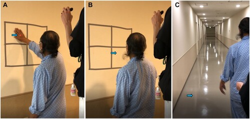 Figure 3. Standing and walking training using a laser pointer. (A) Standing training by touching when the light of a laser pointer is visible. (B) Standing training by giving an oral signal when the light of the laser pointer is visible. (C) Walking training by giving an oral signal when the light of the laser pointer is visible.