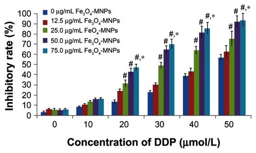 Figure 3 Inhibition of DDP-resistant A549 cells treated with Fe3O4-MNP-DDP for 48 hours.Notes:#P < 0.05 versus DDP alone; *P > 0.05, no difference between 50.0 μg/mL Fe3O4-MNP and 75.0 μg/mL Fe3O4-MNP.Abbreviations: Fe3O4-MNP, magnetic Fe3O4 nanoparticles; DDP, cisplatin.