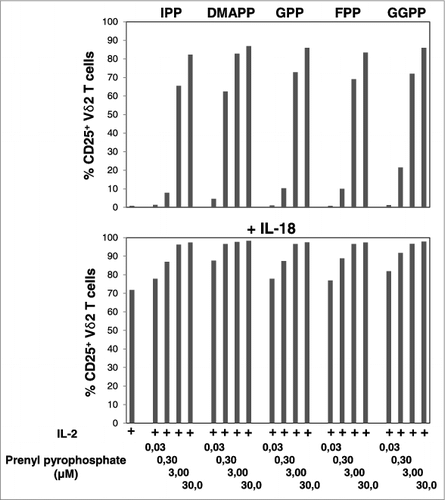 Figure 1. IL-18 enhances mevalonate-derived isoprenoid pyrophosphate-induced upregulation of CD25 expression on Vγ9Vδ2 T cells. Peripheral blood mononuclear cells (PBMCs) at 1.5 × 106/mL were stimulated for 20 h in round-bottom 96-well plate with increasing concentrations of mevalonate-derived isoprenoid pyrophosphates in the absence or presence of 100 ng/mL IL-18 . Cells were stained with fluorophore-conjugated antibodies against CD3, Vδ2 and CD25 (or isotype control). The frequency of CD25+ Vδ2 T cells was assessed via cytofluorimetric analys isusing a FACSCanto II. Data are representative of 2 independent experiments.