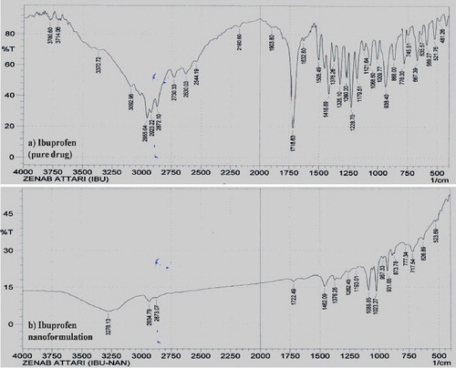 Figure 8. FT-IR spectra of (a) ibuprofen and (b) its optimised nanoformulation.