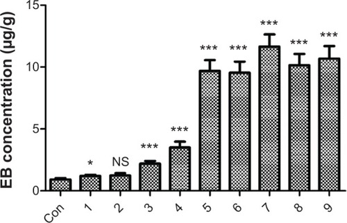 Figure 6 EB extravasation into the rat brain following the treatments shown in Table 1.Notes: EB was extracted from the brain tissues and determined by absorbance at 620 nm. The rats in the control group received the EB injection only. Data are presented as the mean ± standard deviation (n=10). *P<0.05 versus control; ***P<0.001 versus control; NS, P>0.05 versus control.Abbreviations: Con, control; EB, Evans blue.