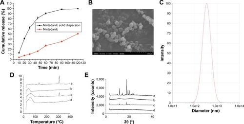 Figure 4 Characterization of solid dispersion. (A) The dissolution curves; (B) The morphology. (C) The size distribution. (D) DSC (a: nintedanib; b: PVP-K30-phospholipid; c: nintedanib–PVP-K30-phospholipid physical mixture; d: nintedanib solid dispersion). (E) X-ray diffraction patterns (a: nintedanib; b: PVP-K30-phospholipid; c: nintedanib– PVP-K30-phospholipid physical mixture; d: nintedanib solid dispersion).Abbreviations: DSC, differential scanning calorimetry; PVP, polyvinylpyrrolidone.