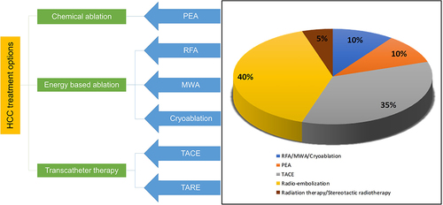 Figure 3 Commonly used locoregional treatments for HCC in Saudi Arabia.