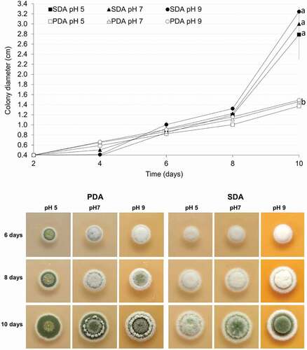 Figure 2. Comparative analysis of colony diametral growth on SDA and PDA at different pH at 25°C