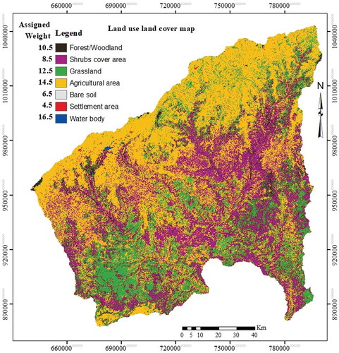 Figure 4. Land use land cover map of the study area