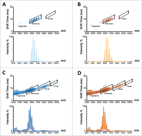 Figure 4. Ion mobility spectra and corresponding mass to charge spectrograms of Remicade® (A) and Remsima™ (B) before and after 4 weeks incubation at 97% RH/40°C, Remicade® (C) and Remsima™ (D). Fragment, monomer, dimer and trimer species annotated in ion mobility spectra.