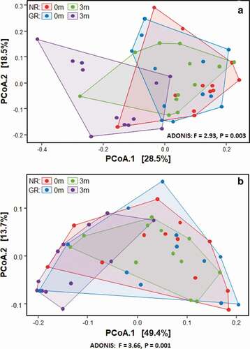 Figure 1. The effect of treatment on the bacterial composition of subgingival plaque as determined by Principal Coordinates Analysis (PCoA) using unweighted (a) and weighted (b) UniFrac distance measures. Samples were taken immediately prior to non-surgical periodontal treatment of matched NR (purple) and GR (blue) sites. Three months after treatment samples were again taken from the same matched NR (green) and GR (red) sites.