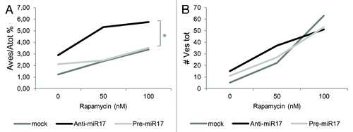 Figure 5. Autophagosomal LC3-FP evaluation in T98G cells after Rapamycyn and miR-17 inhibitor/precursor administration. Ratio percentage between vesicles area and cells areas (Aves/Atot [%]) and number of total vesicles (Vestot) are calculated using the AUTOCOUNTER ImageJ Javascript tool as described.Citation35 Results are obtained analyzing different DIC phase contrast-fluorescent photographs for a total of 30 T98G cells for each of the mentioned mock, rapamycin, AmiR-17, and PmiR-17 treatments. *P < 0.005.