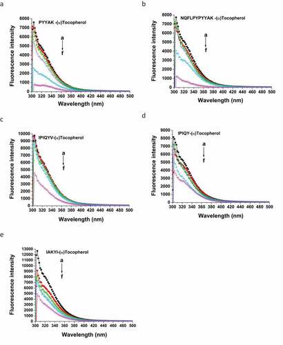 Figure 5. Effect of (α)-tocopherol on reduction of fluorescent intensity of milk oligopeptides. a→ f represents the concentration of (α)-tocopherol. The concentrations are: a = 0.0 × 10−10 mol/L, b = 0.05 × 10−10 mol/L, c = 0.10 × 10−10 mol/L, d = 0.15 × 10−10 mol/L, e = 0,20 × 10−10 mol/L and f = 0.25 × 10−10 mol/L