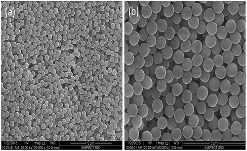 Figure 1. SEM surface morphology of PMMA particles at two magnifications, 20,000× (a) and 50,000× (b). The particles show uniform morphology with spherical shape and a narrow size distribution.
