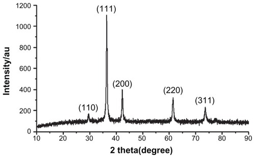 Figure 1 X-ray patterns of the CONPs.Note: Results revealed the crystal structure of the CONPs, and no characteristic peaks of impurities were detected.Abbreviation: CONPs, cuprous oxide nanoparticles.