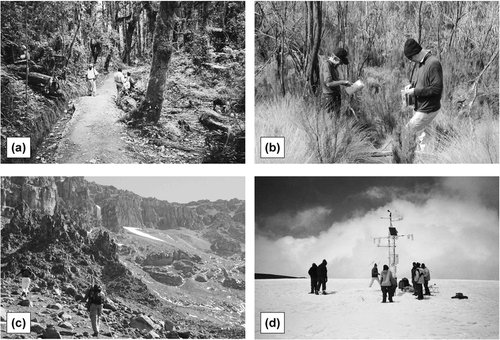 FIGURE 3 Photographs showing exemplar altitudinal zonation on Kilimanjaro. (a) Montane forest, (b) subalpine heathland, (c) alpine, and (d) icefield. These correspond to the upper three zones of CitationHemp (2002) and the nival zone.