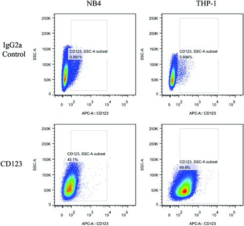 Figure 2. Quantification of the total and surface expression levels of CD123 in NB4 and THP-1 cells, respectively. Numbers indicate percentages of positive cells. IgG2a was set as an isotype control of anti-CD123 antibody.