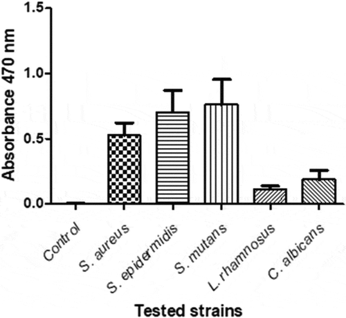 Figure 2. Mean values and standard deviation of the assessment of metabolic activity in biofilms using TTC assay. This test demonstrated that after 48 h of incubation, all tested microorganisms present on the surface of the fixation plates showed metabolic activity in biofilms, but in a differentiated manner (Figure 2)