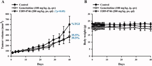 Figure 8. Tumour growth inhibition after F389-0746 treatment in vivo. (A) Tumour volume (B) Body weight. The control group was administered with the vehicle, the positive control group was administered with 100 mg/kg of gemcitabine, and the treatment group was administered with 200 mg/kg of F389-0746. Tumour growth inhibition (%) was calculated and compared with the control group. Results are shown as the mean ± SEM. Statistical significance was calculated using Student’s t-test. *p < 0.05 versus the control group.