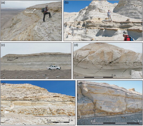 Figure 5. Outcrop photographs of the marker beds in the lower allomember. (a) Detail of the Nazca sandstone marker bed at 14°20′51.3″S-75°54′24.1″W; (b) close-up of the Quechua sandstone marker bed at 14°20′32.7″S-75°54′06.0″W; (c) panoramic view and (d) detail of the Wari marker bed at14°22′10″S-75°52′40.57″W; (e) panoramic view of the Paracas marker bed at 14°20′40.4″S-75°53′46.3″W; and (f) detail of the Paracas marker bed showing multiple infill of a small, shallow cut-and-fill structure that is typically filled by thinly bedded diatomite layers characterized by rapid lateral thinning and then pinching out.