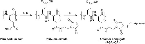 Figure 1 Synthesis scheme for multivalent PGA–OA conjugates.Notes: (a) DMTMM and AEM; (b) dialysis; and (c) thiol-OA. The multivalent conjugate is a random copolymer composed of unconjugated monomers (x repeat units) and aptamer conjugates (y repeat units).Abbreviations: AEM, N-aminoethyl maleimide; DMTMM, 4-(4,6-dimethoxy-1,3,5-triazin-2-yl)-4-methylmorpholinium tetrafluoroborate; OA, oligonucleotide aptamer; PGA, polyglutamic acid.