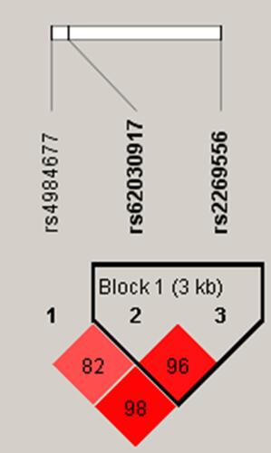 Figure 2 In patients older than 42 years old, LD plots containing three SNPs from RAB40C.